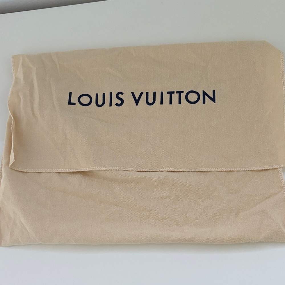 Louis Vuitton Beige Storage Bag
